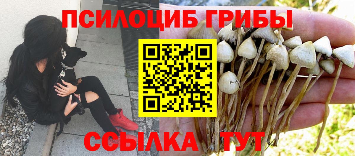Псилоцибиновые грибы мицелий  Вход с VPN  Партизанск 