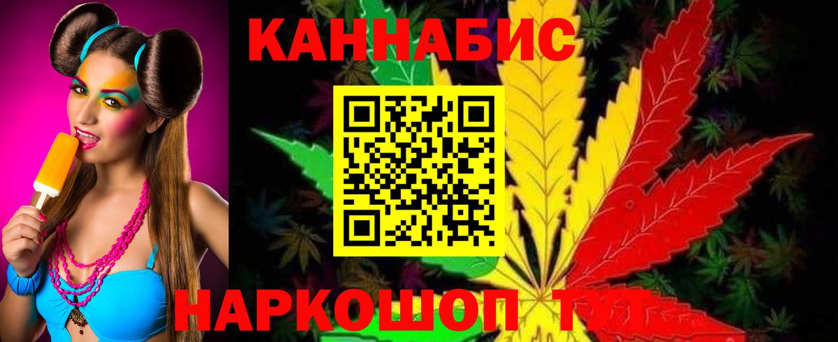 Бошки Шишки планчик Партизанск